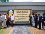 A TURN OF THE TIDE: Uganda Unveils Homegrown Anti-Tick Vaccine in Major Leap for Africa’s Livestock Sector