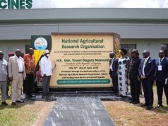 A TURN OF THE TIDE: Uganda Unveils Homegrown Anti-Tick Vaccine in Major Leap for Africa’s Livestock Sector