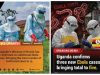EXCLUSIVE: Whistleblowers Demand Probe Into US$80 Million Ebola PPE Contract Amid Allegations of Procurement Irregularities and Undue Influence